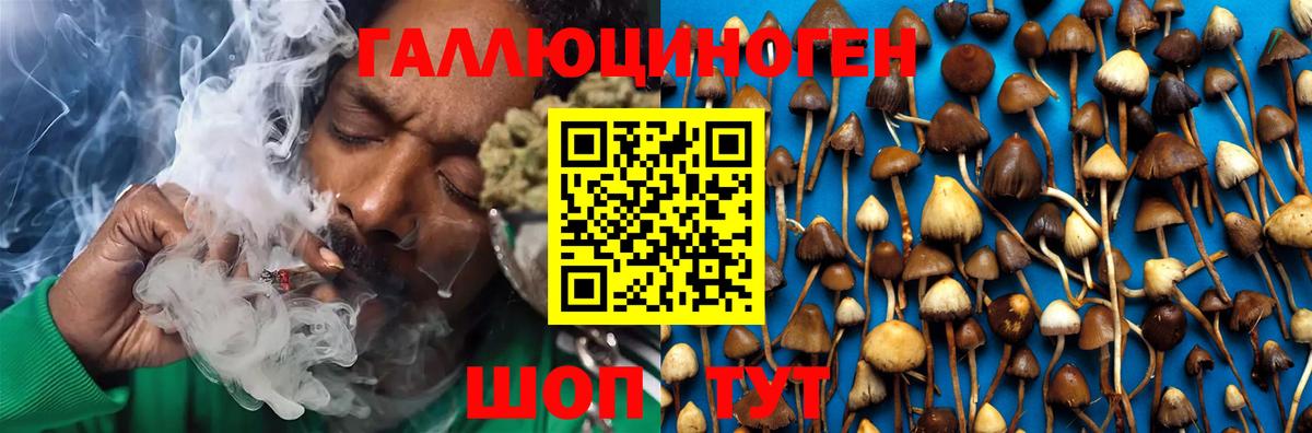 Псилоцибиновые грибы GOLDEN TEACHER Вольск